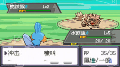 口袋妖怪绿宝石金手指版
