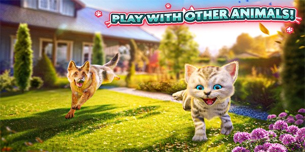 猫咪模拟器3d