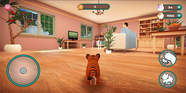 猫咪模拟器3d