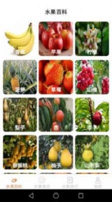 果园看看百科知识手机版