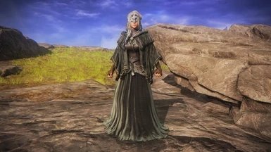 艾尔登法环防火女mod