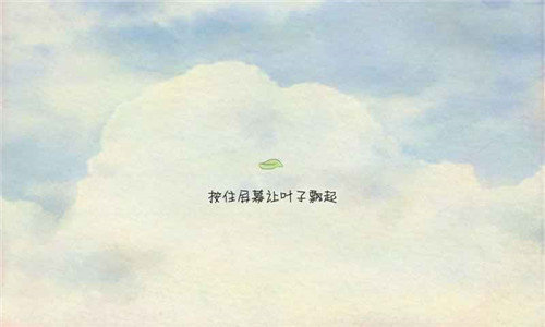 风子