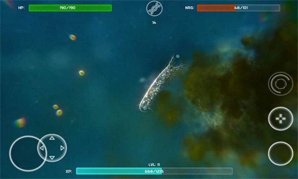 孢子进化手机版中文