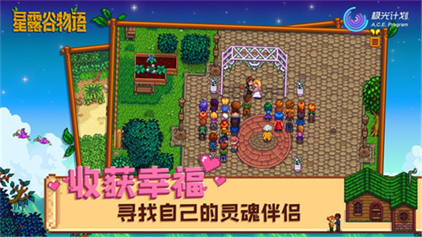 星露谷物语1.6汉化版手机