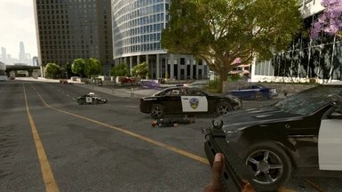 444.jpg